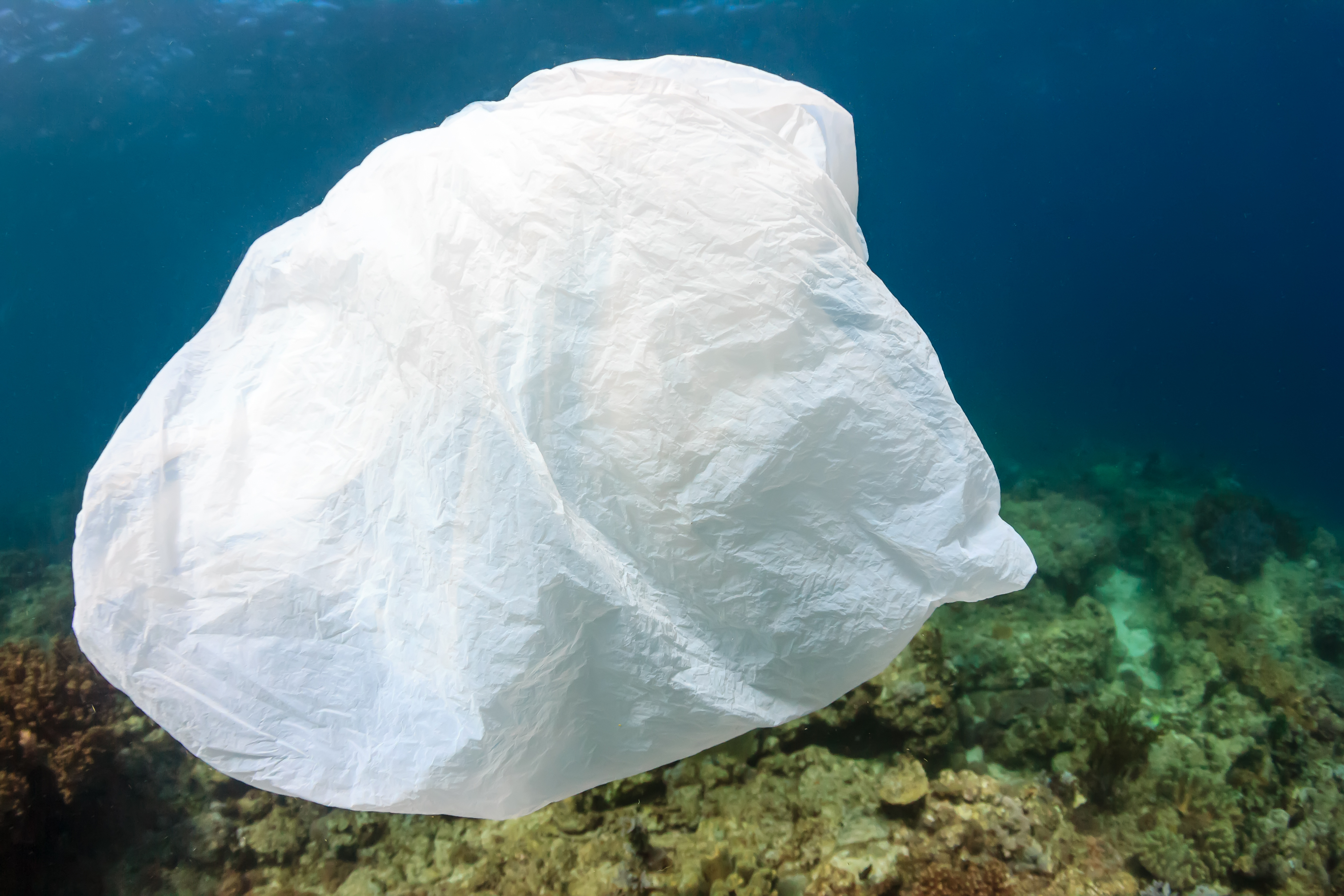 La Nouvelle-Calédonie interdit les plastiques jetables