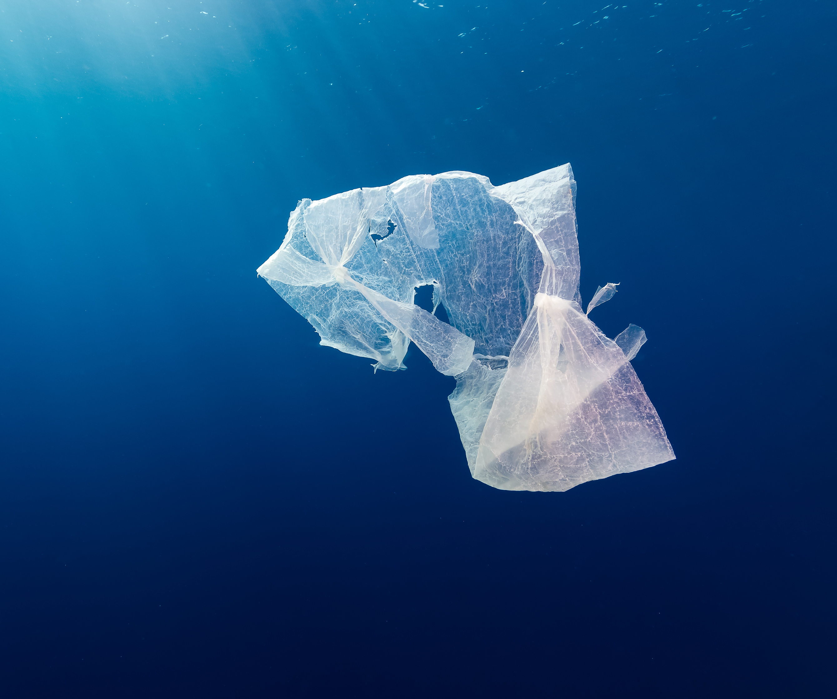 L’UE va diviser par deux l’usage des sacs plastiques d’ici...2019