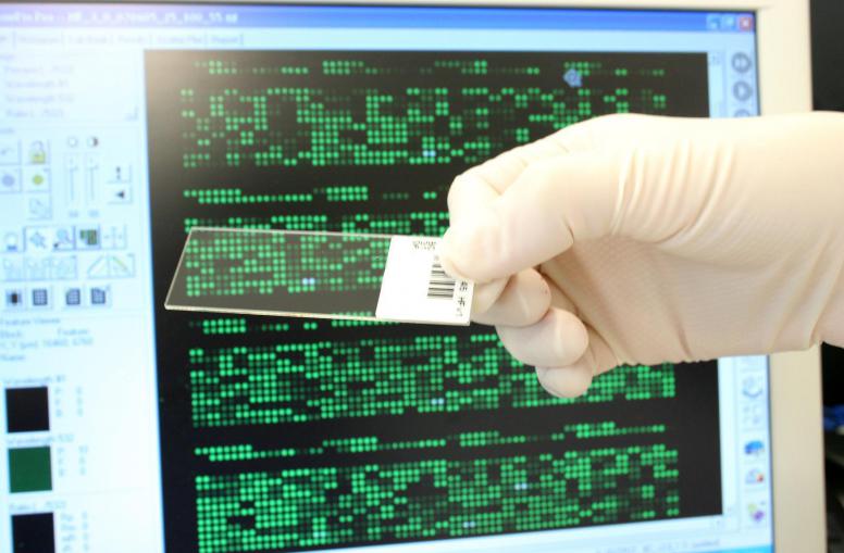 La controverse sur les OGM ne freine pas le succès des biotech en Allemagne