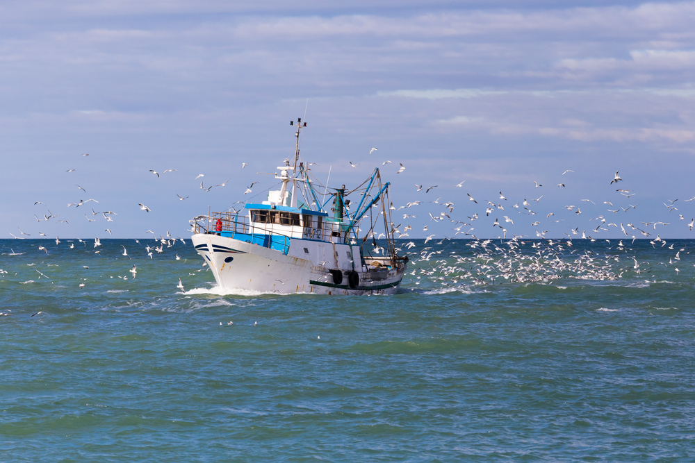 Bruxelles estime à 93% les pêcheries non-durables en Méditerranée
