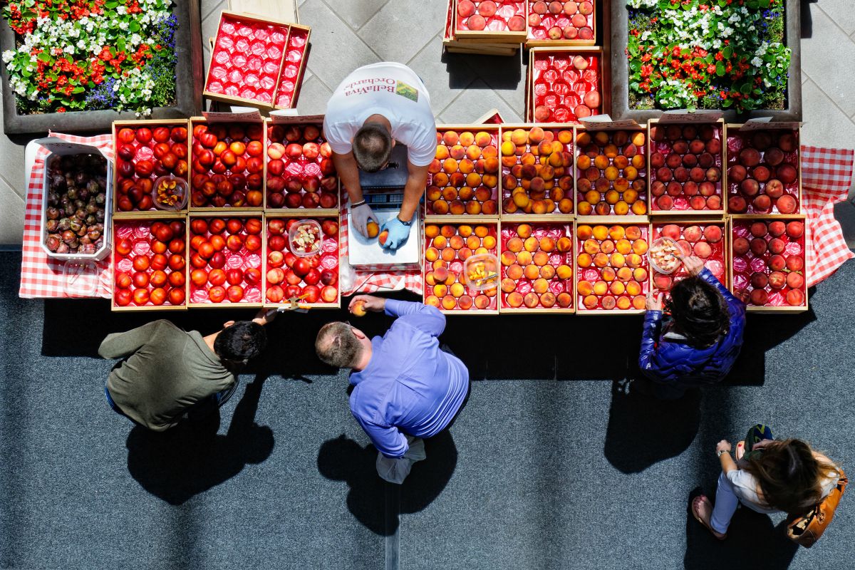 Bruxelles étend l'aide aux producteurs touchés par l’embargo russe