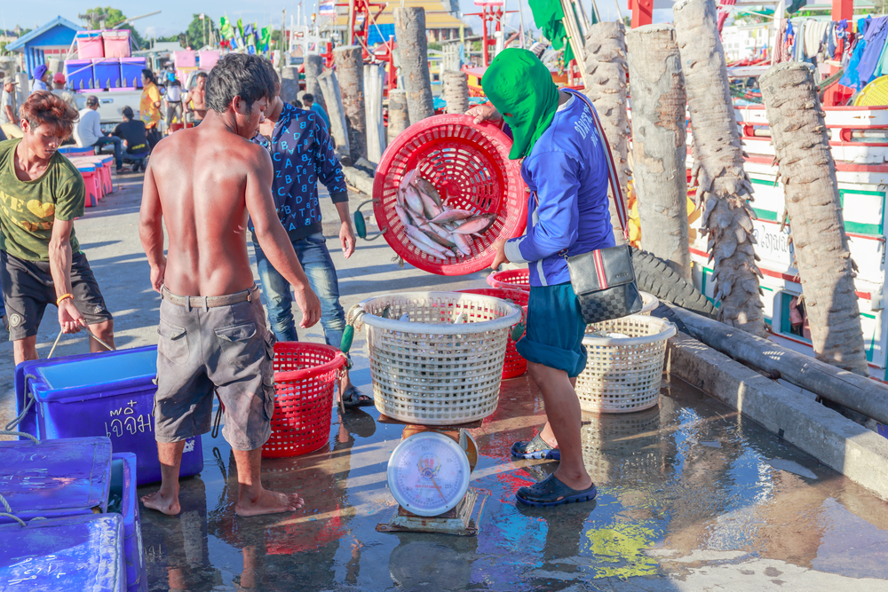 La Thaïlande risque un «carton rouge» de l'UE pour sa pêche illégale