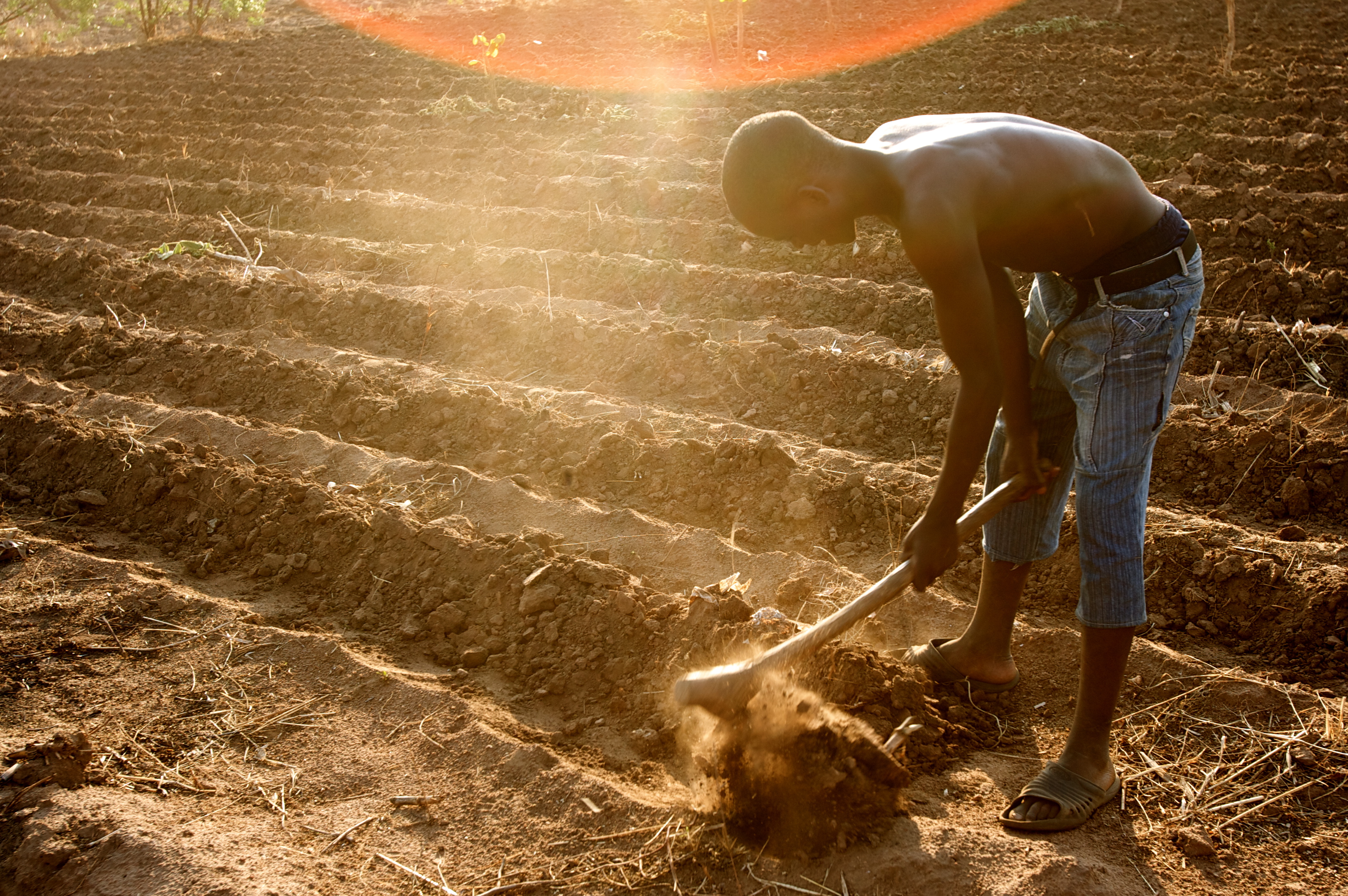Berlin finance l’exportation du modèle agricole européen en Afrique 