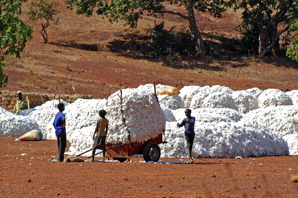 La micro-assurance protège les agriculteurs du Sud du changement climatique