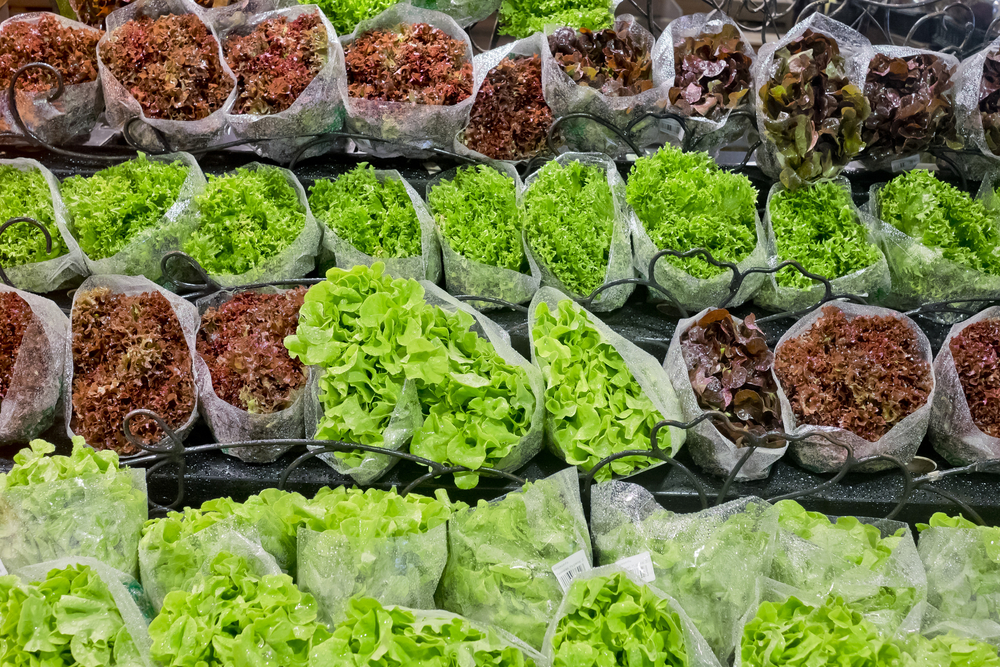 Les perturbateurs endocriniens présents dans deux salades sur trois