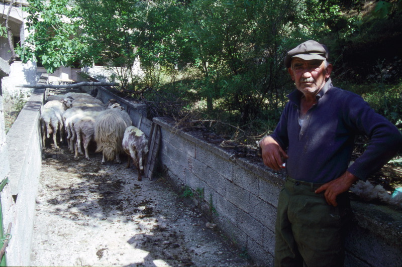 Les agriculteurs grecs dénoncent les hausses d'impôts