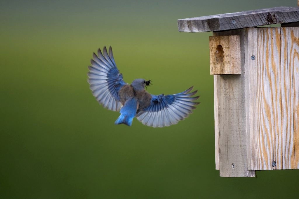 Les sénateurs inscrivent le « préjudice écologique » dans la loi biodiversité