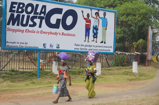 La déforestation responsable de l'épidémie d'Ebola
