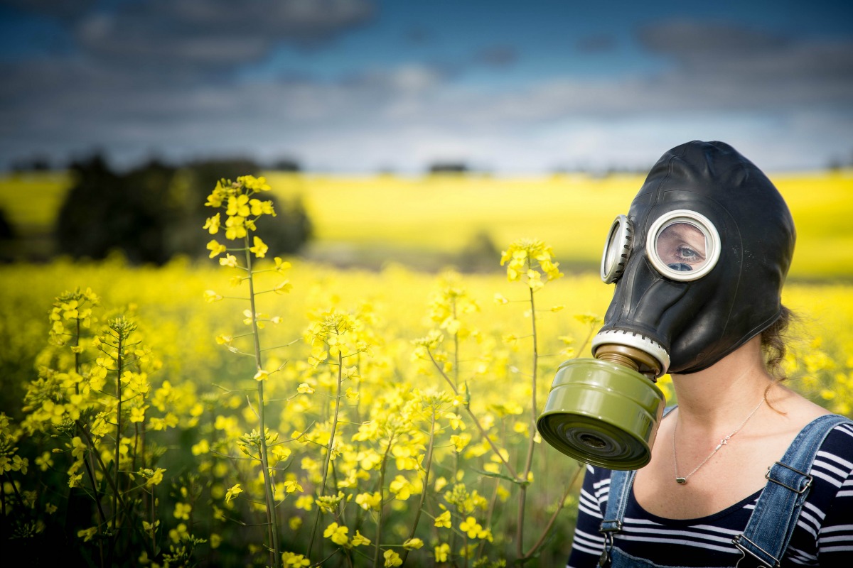 Bayer et Monsanto en passe de finaliser leur fusion