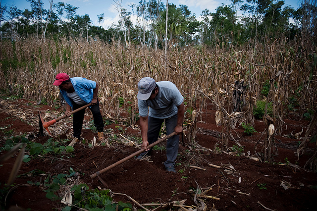 Le greenwashing menace la finance climat et la COP21