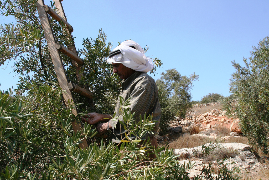 Israël s’irrite du projet de l'UE d'étiqueter les produits des colonies