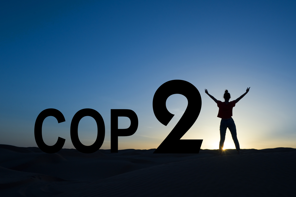 COP 21 : l’interdiction des manifestations ne décourage pas les ONG