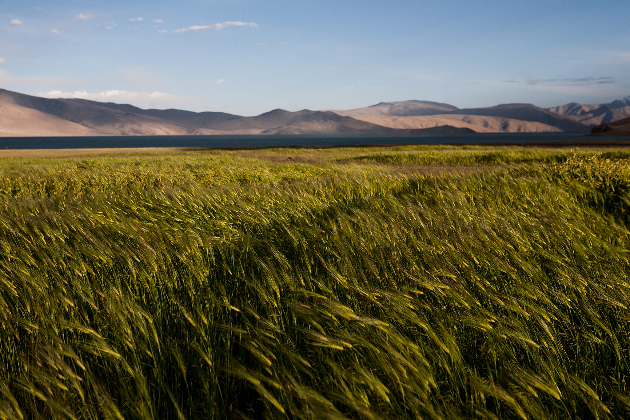 Craintes pour la sécurité alimentaire à la COP21