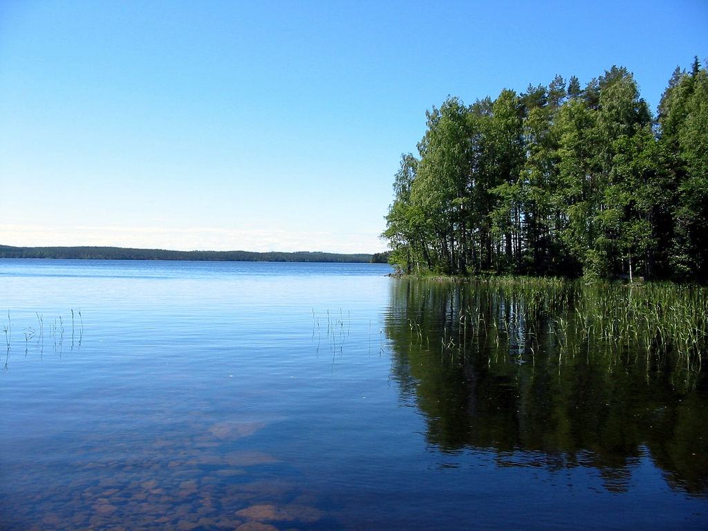 La Finlande envisage le lancement d'un revenu universel de 800 euros mensuels