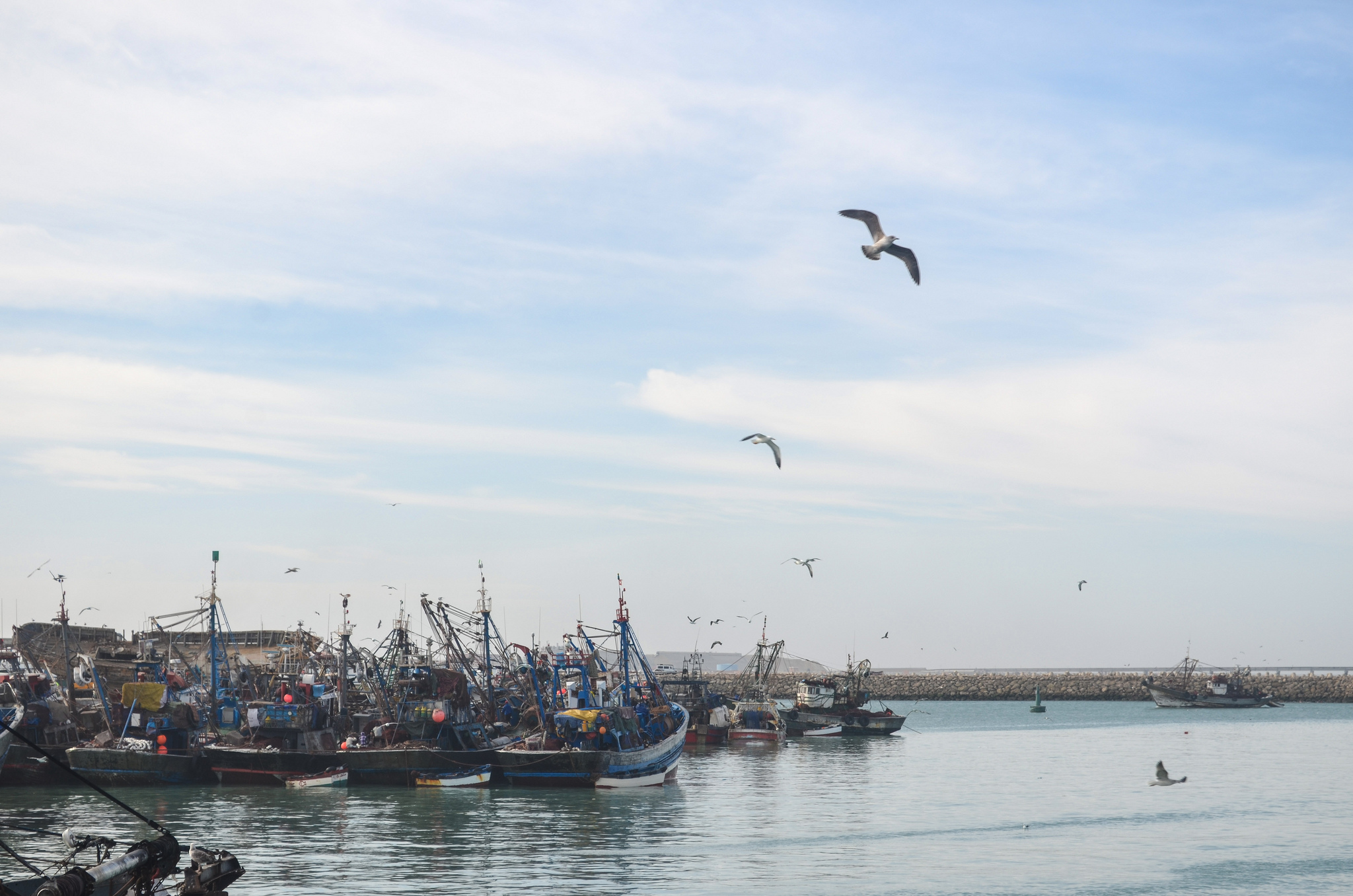 Le Fonds européen pour la pêche maintient le «business as usual»