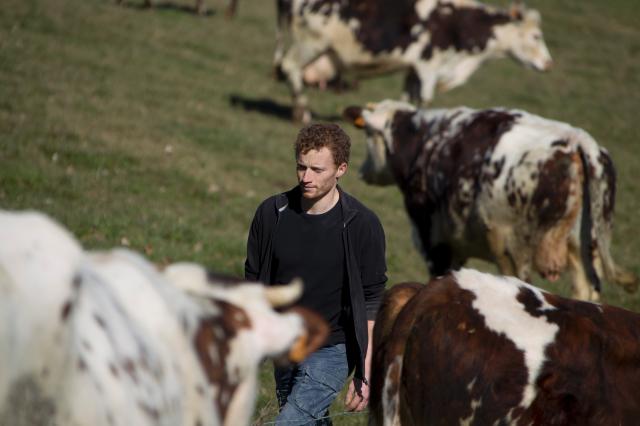 Les jeunes agriculteurs, une espèce en voie de disparition ?
