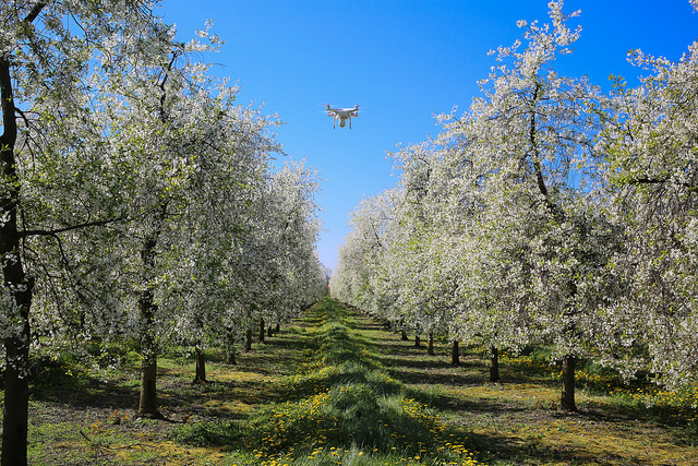 L’agriculture intelligente, une arme contre le changement climatique
