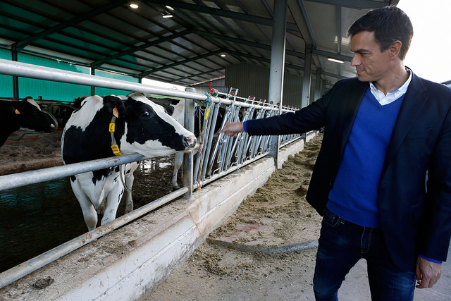 Vers une coalition de gauche en Espagne?