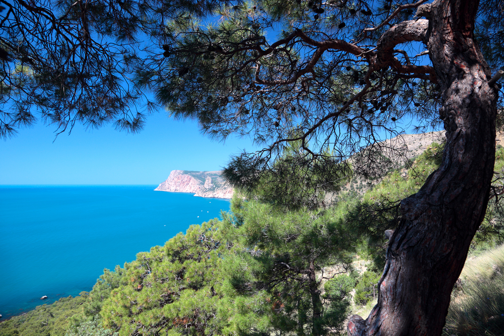Surexploitée, la Méditerranée boit la tasse