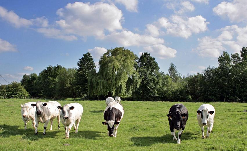Peut-on nourrir la planète sans alimenter l'effet de serre ?
