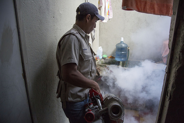 Prévention : le ministère de la Santé tente d&rsquo;éradiquer les moustiques au Guatemala.