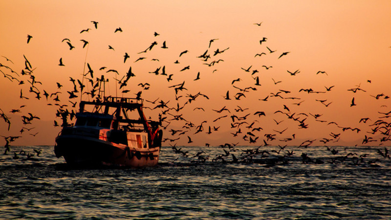 L’Espagne veut redistribuer les quotas de pêche non utilisés