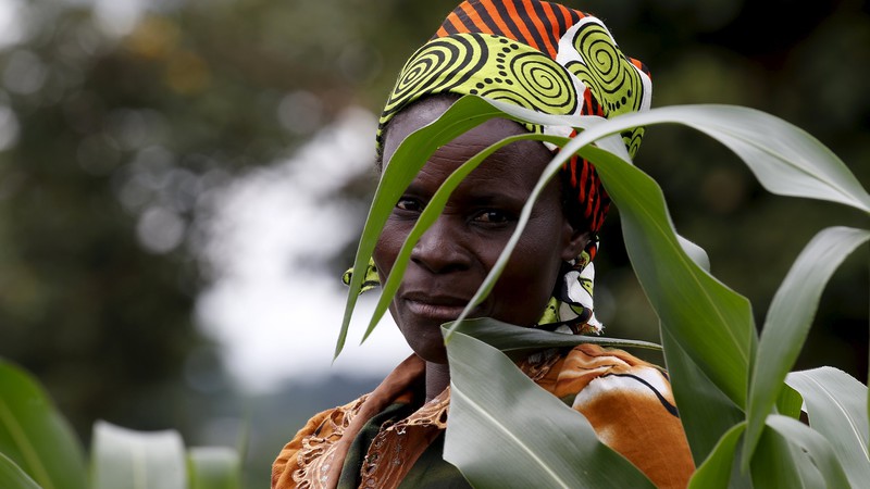 L’ONU juge El Niño responsable d’une crise alimentaire mondiale