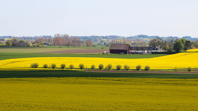 Les ruraux surexposés aux pesticides