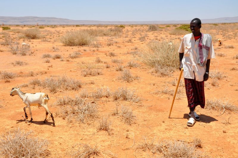 La crise alimentaire couve dans les pays en développement