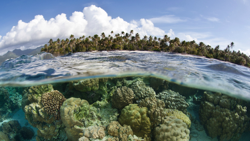 Le Fonds vert pour le climat cherche sa voie