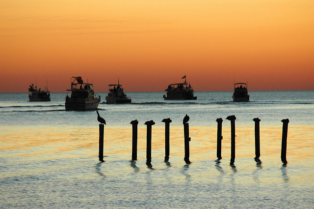 Intermarché abandonne la pêche par grands fonds