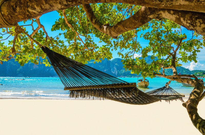Les Pays-Bas, paradis européen des petits malins
