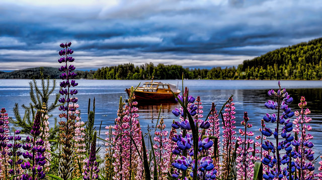 Pourquoi la Finlande est le pays le plus heureux du monde