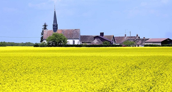 La Chine rachète des terres agricoles dans le Berry