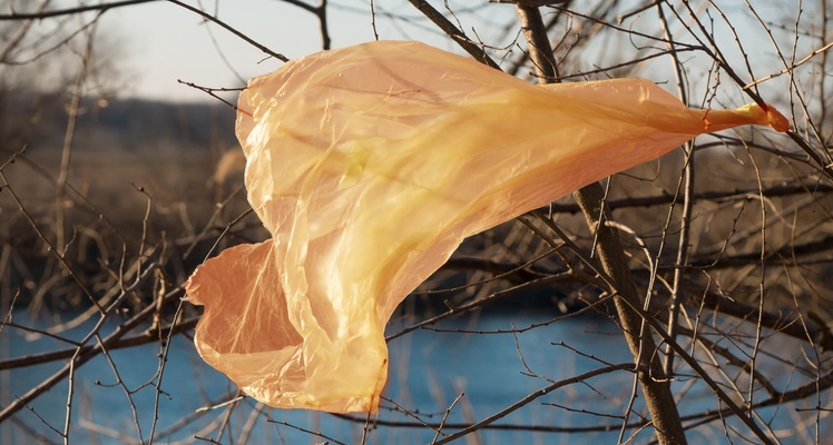 L’avenir incertain des bioplastiques