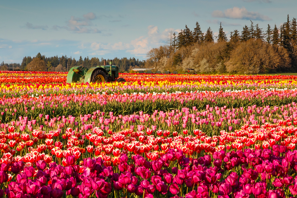shutterstock_196164314