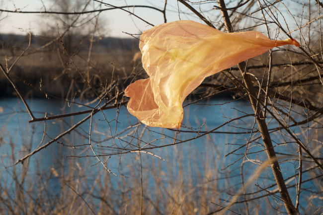 L’interdiction des plastiques à usage unique se précise en France