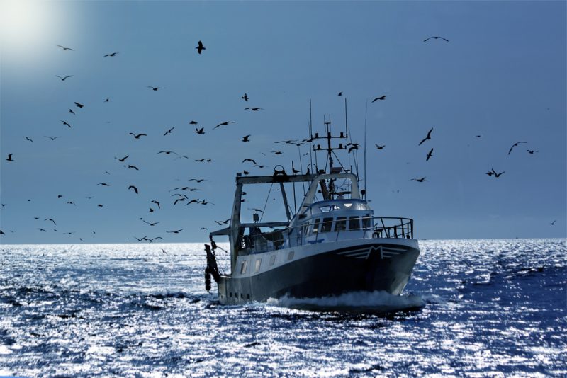 Le secteur de la pêche cherche son équilibre