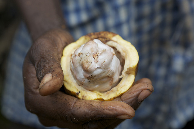 Bruxelles tente d'imposer ses accords commerciaux aux pays africains