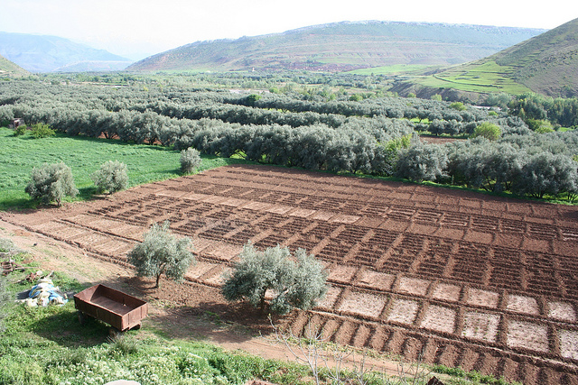 Le Maroc demande à Bruxelles de sortir l’accord agricole de l’impasse
