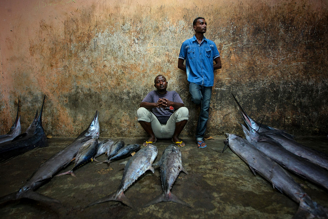 Greenpeace dénonce l'accord de pêche UE-Mauritanie