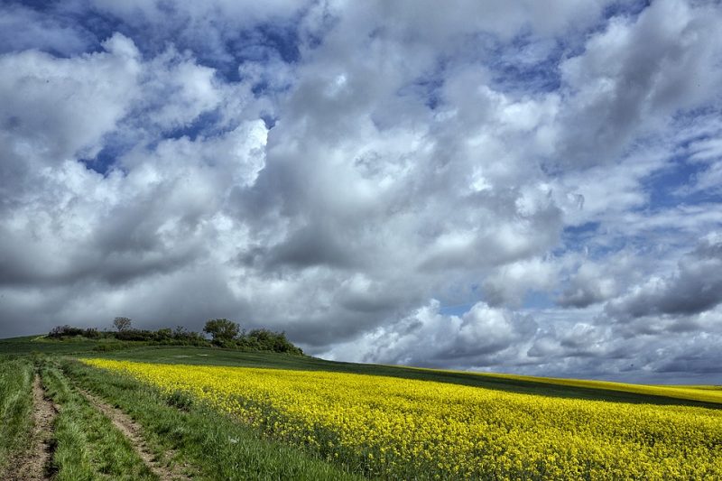 L’UE veut diviser par deux la mortalité liée à la pollution