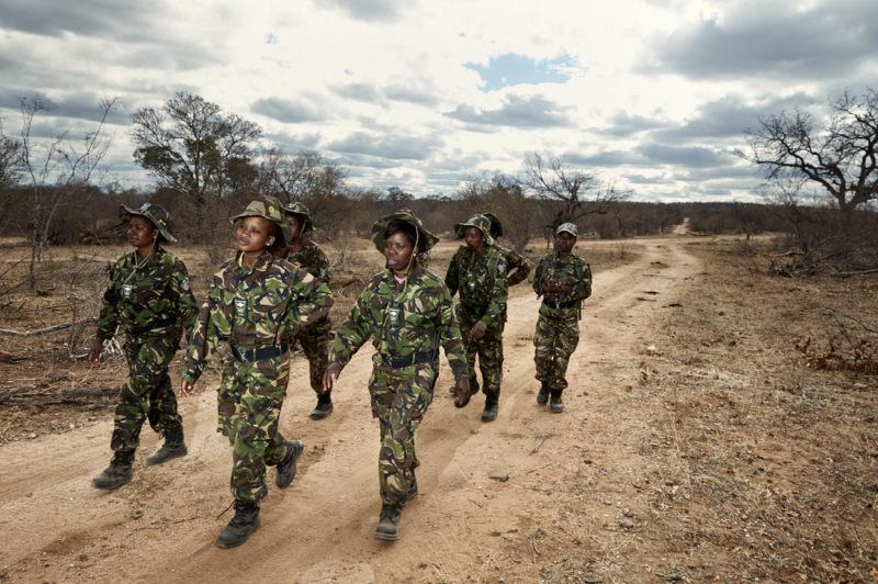 En Afrique du Sud, une patrouille de femmes combat le braconnage