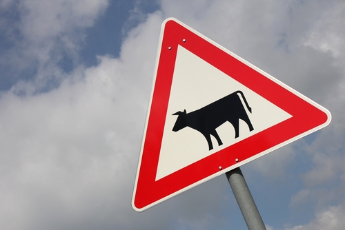 L’agriculture allemande tente de réagir à la crise