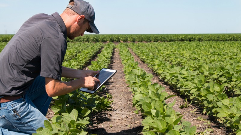 « Le numérique doit améliorer la productivité des exploitations agricoles »