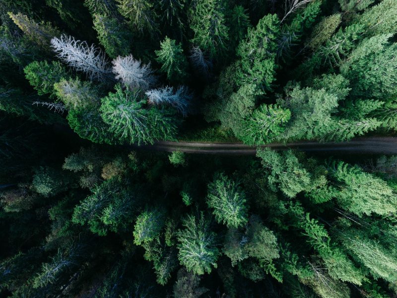 Les Etats membres s’attaquent au partage de l’effort climatique
