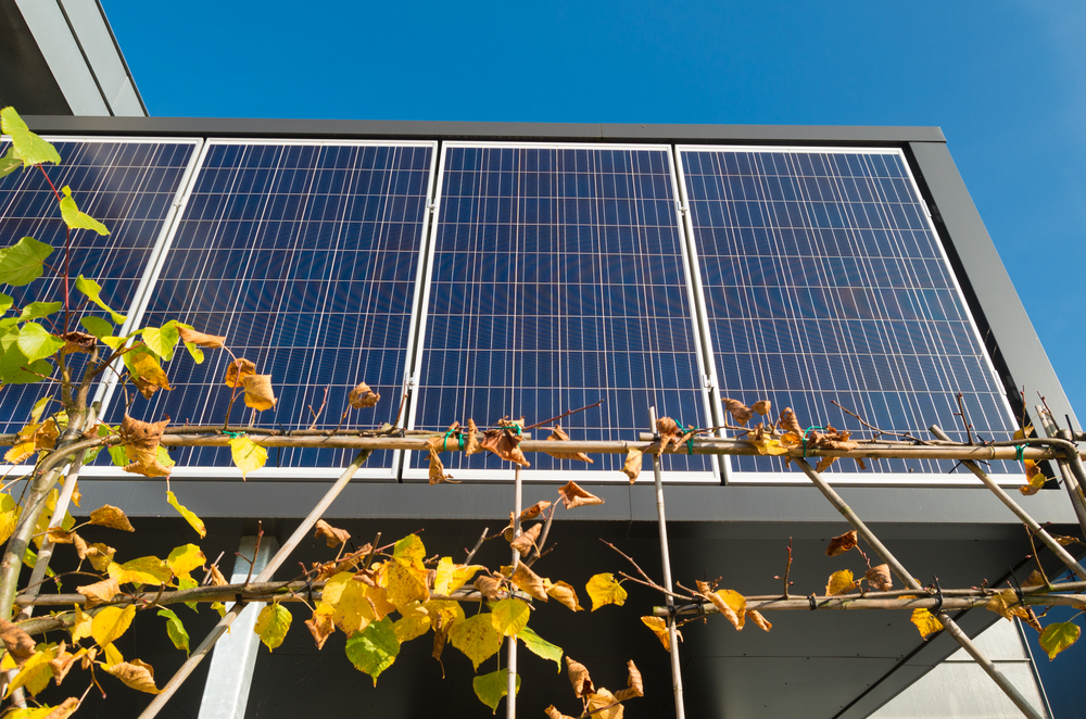 solar-panel-renewables-creditstandard-shutterstock