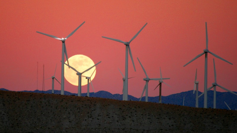 La course aux obligations vertes n'est pas indemne de green-washing