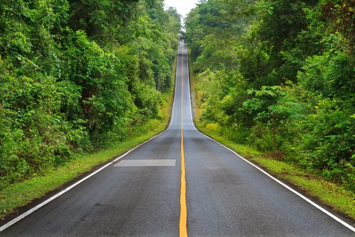 Les routes relient les hommes, mais morcellent la nature