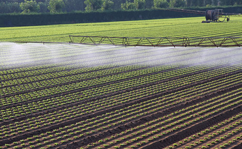 La lutte contre l’accaparement des terres accumule les exemptions